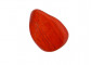 Ciottolo di diaspro rosso (30-50g)