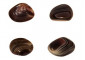 Ciottolo di Sardonyx (+3cm)
